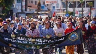 20. Ayvalık Uluslararası Zeytin Hasat ve Turizm Festivali Başlıyor…