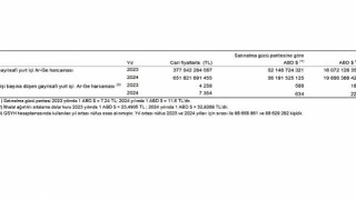 Araştırma-Geliştirme Faaliyetleri Araştırması, 2024