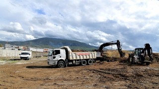 Bornova Misketi köklerine dönüyor