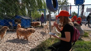 Borusan Pati Elçilerinden sokağa terk edilmiş can dostlara mama, koruyucu aile ve sahiplendirme desteği