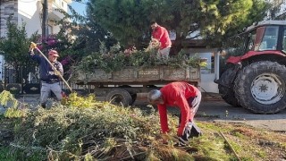 Mendereste Atıklar Toplanıyor