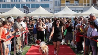 Patilerin Festivali 6 yaşında