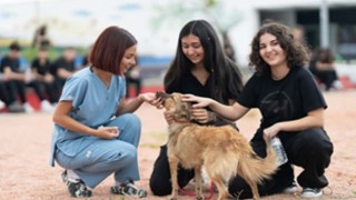 “Sahipsiz hayvanlara kötü muamele son bulsun”