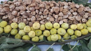 Türk kuru incir ihracatçılarından Avrupa Birliği ne; “Kuru incirde ev ödevimizi yapıyoruz” mesajı