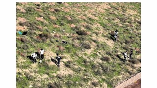 Büyükşehirin dokunuşlarıyla Kocaeli yeşile doyuyor