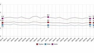 İşgücü İstatistikleri, Ekim 2025