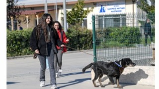 İzmirli hayvansever Çörekçinin emanetlerine İzmir Büyükşehir Belediyesi sahip çıktı