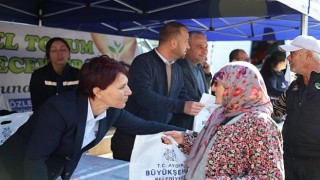 Koçarlıda Kışlık Fide Dağıtımına Vatandaşlardan Yoğun İlgi