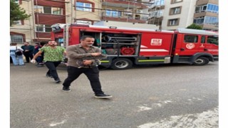 Mazgala düşen kayıp köpek ve yangında mahsur kalan kediler itfaiyenin çabasıyla kurtarıldı