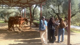 Narlıdere Belediyesinden Gönüllülere Teşekkür