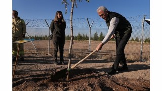 OGM: 30 milyon fidan sahiplenildi