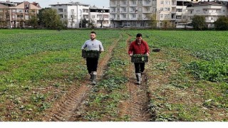 Osmangazi Belediyesi Doğal Üretimle Sofralara Sağlık Sunuyor