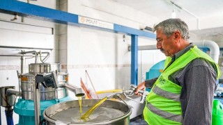 Seferihisar Belediyesinden örnek proje; Çocukların topladığı zeytinler sofralara bereket olacak