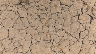 TEMA Vakfı: Toprak Yoksa Su, Su Yoksa Gıda Yok!