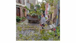 Ayvalıkta Kışa Hazırlık…