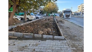 Daha Yeşil Bir Milas İçin Ekipler İlçemizin Dört Bir Yanında Yoğun Çalışmalar Yapıyor