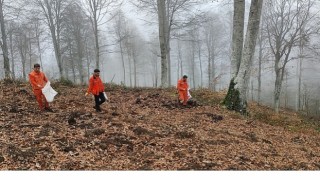 Harmancıkta yanan ormanlara tohumlar serpiliyor