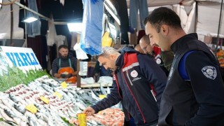 Maltepede balık denetimi