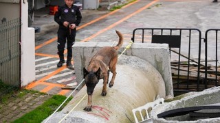 Maltepenin Zeynası artık ekibin bir parçası