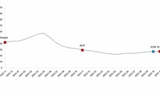 Yurt İçi Üretici Fiyat Endeksi, Kasım 2025