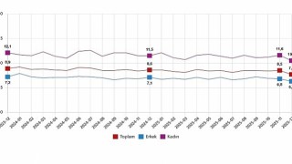 İşgücü İstatistikleri, Aralık 2025