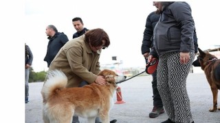Mavişehir Mahallesi nde Büyük Dönüşüm Devam Ediyor