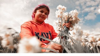 Nergis Kokulu Festival İçin Geri Sayım Başladı