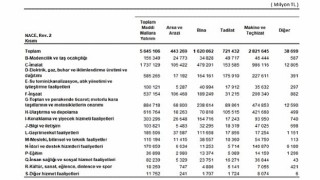 Yıllık Sanayi ve Hizmet İstatistikleri Yatırım Harcamaları, 2024