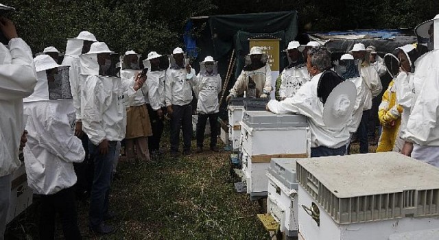 Balparmak Arıcılık Akademisi ile İstanbul İli Arı Yetiştiricileri Birliği İstanbul’a Yeni Arıcılar Kazandırdı