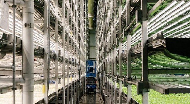 Dikey Tarım Odaklanan Pimtaş Çevreyi Merkeze Aldı