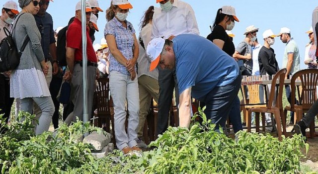 Bu hasatta iyilik var