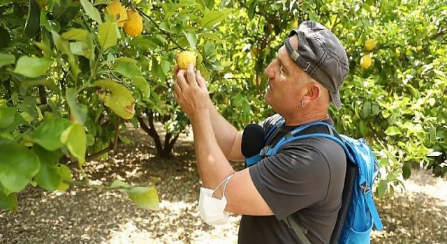 Fairy’den Çeşme Limonu’na Destek