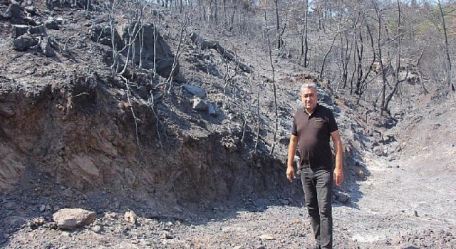 Serter’den Hükümete yangın tepkisi