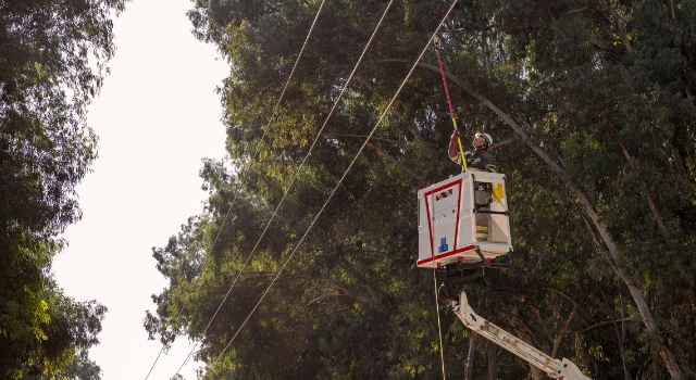 Toroslar EDAŞ Hatay’ı Bakım ve Yatırımlarıyla Aydınlattı