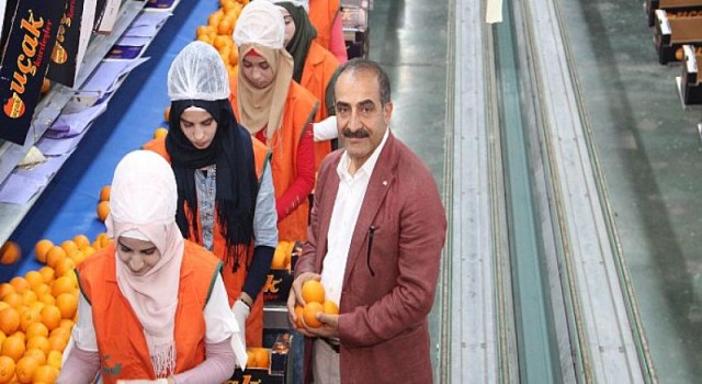 Yaş meyve sebze ve meyve sebze mamulleri sektörü 509 milyon doları Türkiye’ye kazandırdı