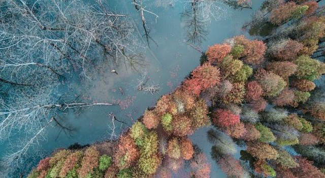 McKinsey’den, şehirlerin iklim değişikliğine uyum sağlayabilmesi için 15 eylem önerisi