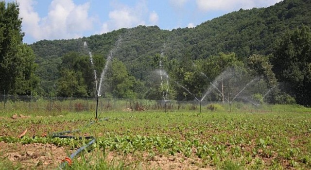 Kapalı Sulama Sistemi İle Toprakta Verim Artıyor