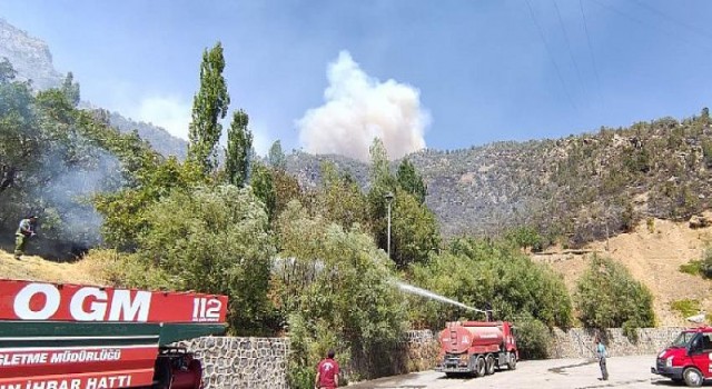 Tunceli’deki yangınların tamamı kontrol altında