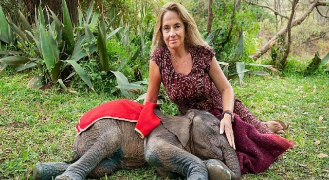 BBC İklim Değişikliğine Dair 7 Ayrı Belgeselle Geliyor