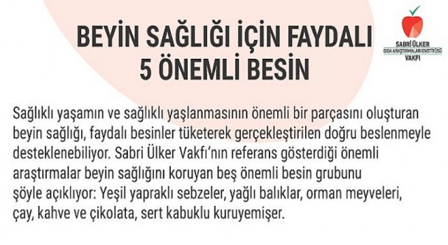 Beyin Sağlığı İçin Faydalı 5 Önemli Besin