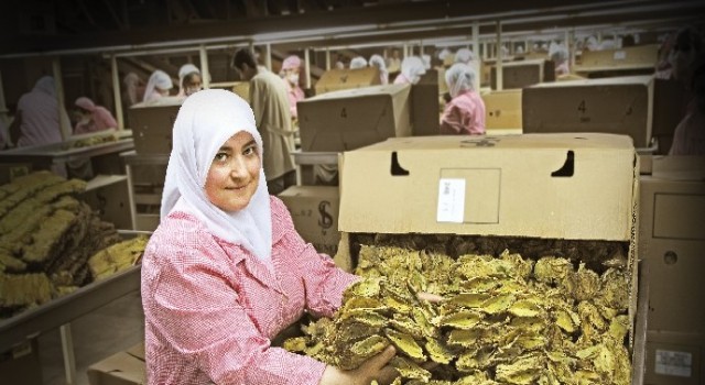 Ege Bölgesi’nden Eylül ayında 2 milyar 550 milyon dolar ihracat