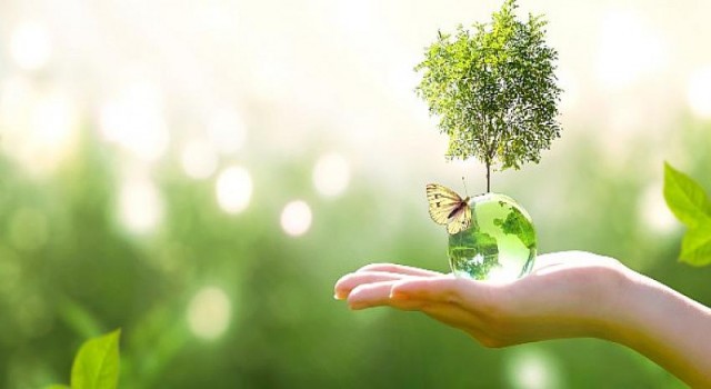 İsviçreli gıda üreticisi Hero Baby’den Türk kadın çiftçilere tam destek!