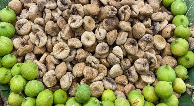 Kuru incir ihracatında 256 milyon dolar döviz geliri elde edildi