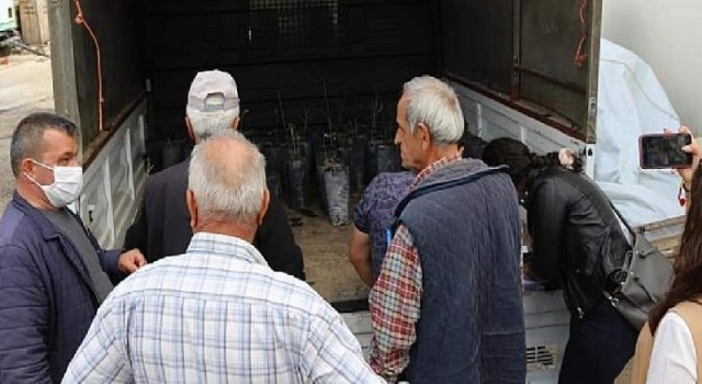 Antalya Büyükşehir Belediyesi’nin fide yardımları sürüyor