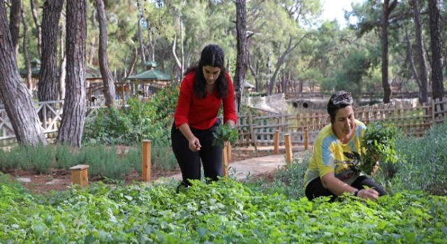 Hayvanat Bahçesi’ne aromatik bitkili ’Koku Bahçesi’ kuruldu