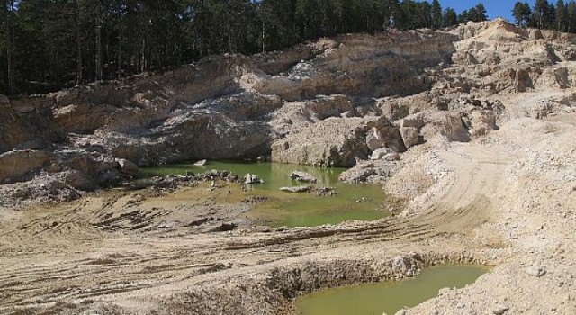 Yaşam En Temel Haktır!
