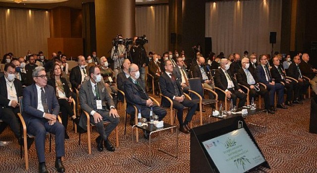 Zeytin ve zeytinyağı sektörü sürdürülebilirlik için buluştu