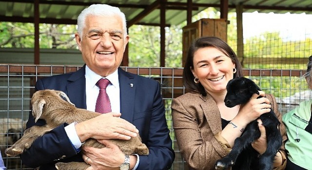 Muğla Büyükşehir Belediyesi SODEV'den Büyükşehir'e Cinsiyet Eşitlikçi Dönüşüm Ödülü