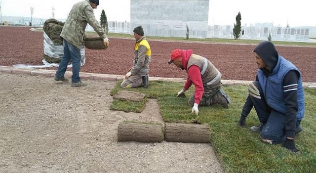 Şehit Öğretmenler Anıtı Yeşeriyor