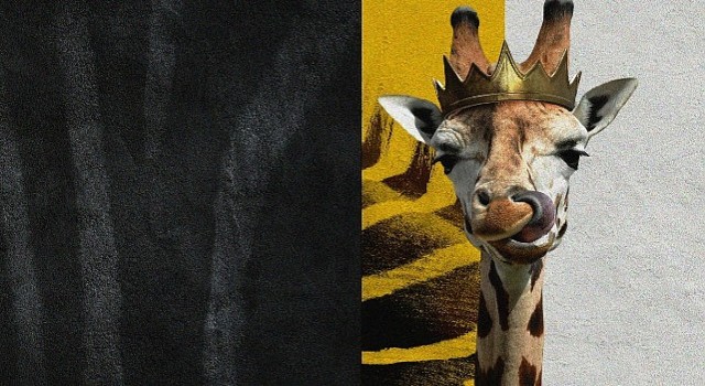 “Disney'in Sihirli Hayvan Krallığı” National Geographic WILD'da